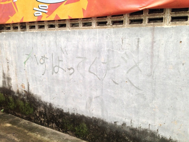 IMG 1886