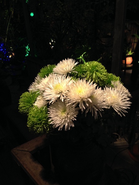 IMG 4551