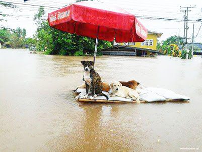 Image image032