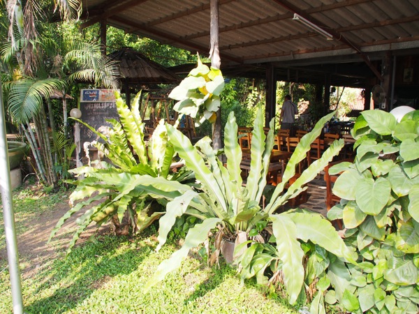 KS230997