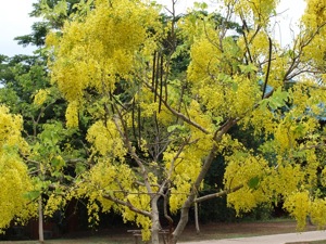 NI014662 1