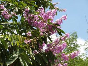 NI024907 1