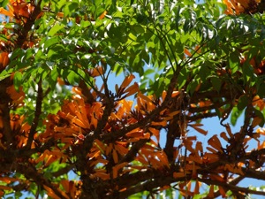 NI024956 1