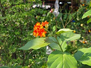 NI035005 1