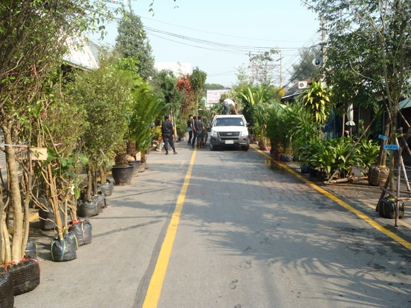 P1310381
