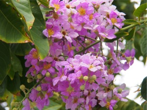 P7240100