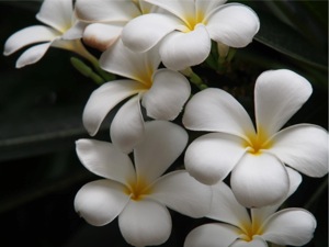 P7240141