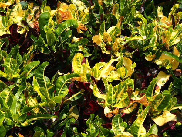 SL030029