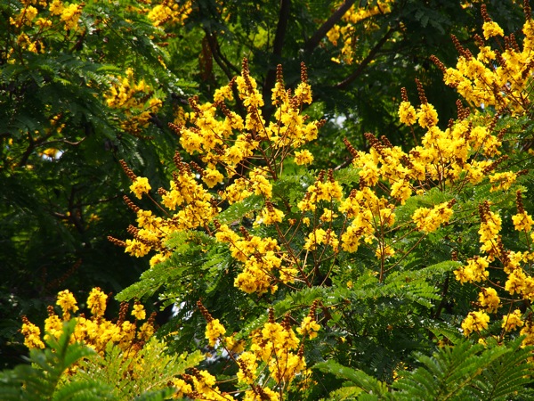 SL030041