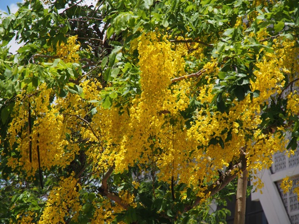 SL030122
