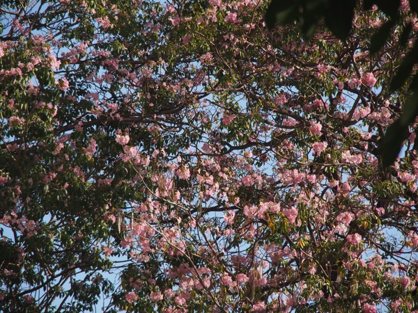 SL030136