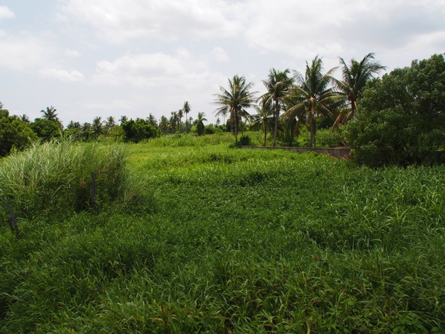 SL030168