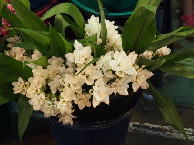 SL030522small640