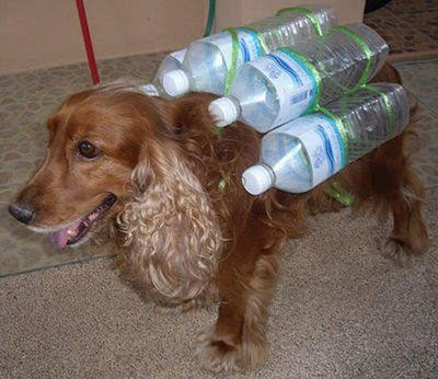 Thai flood hacks 18