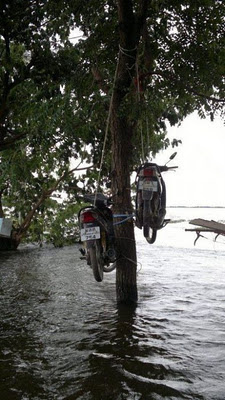 Thai flood hacks 26