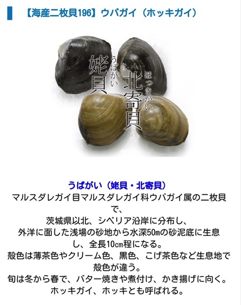 スクリーンショット 2015 04 22 20 07