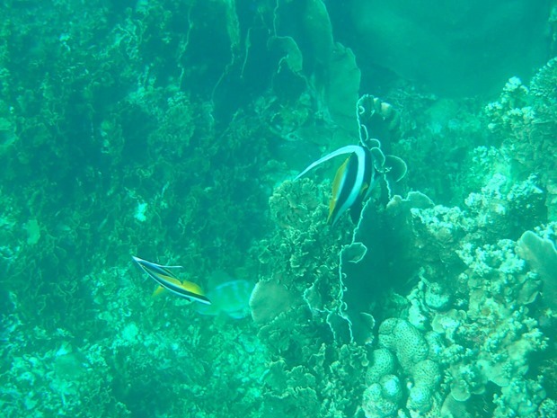 OI001151