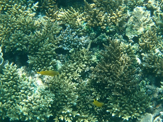 OI001022