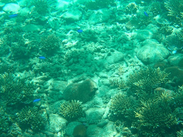 OI001026