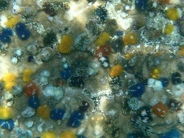 OI001040