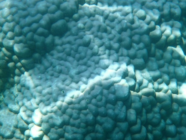OI001056