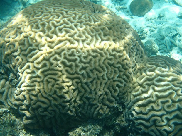 OI001092
