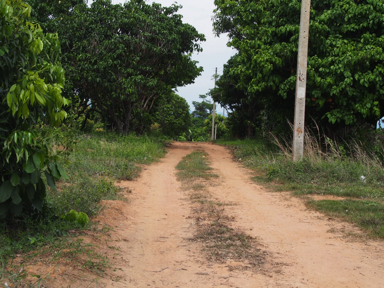 SL001828
