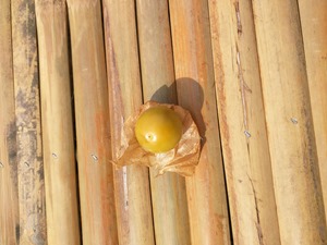 IMG_20151128_131709