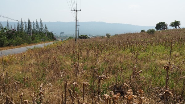 KEN20327