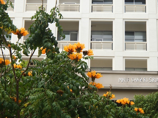 P2244645