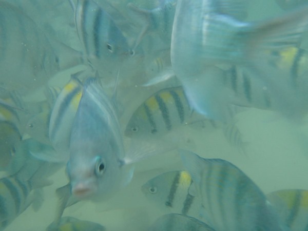 P3305019