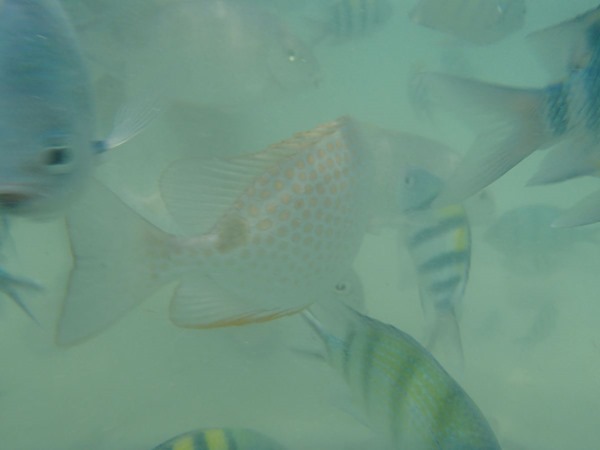 P3305023