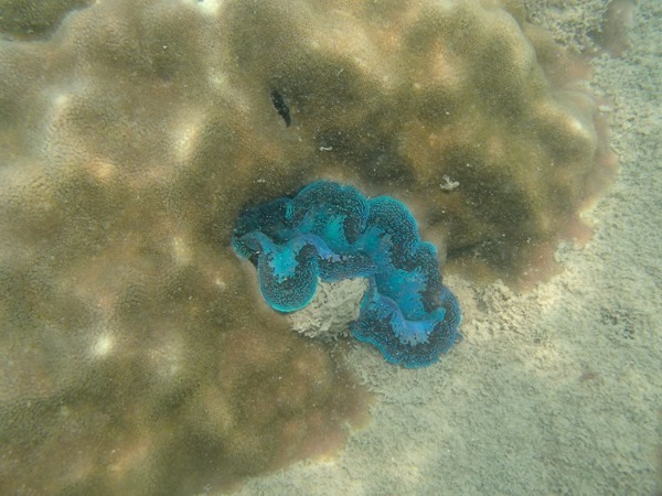 P3305049