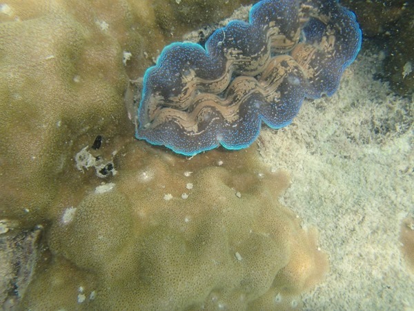 P3305062