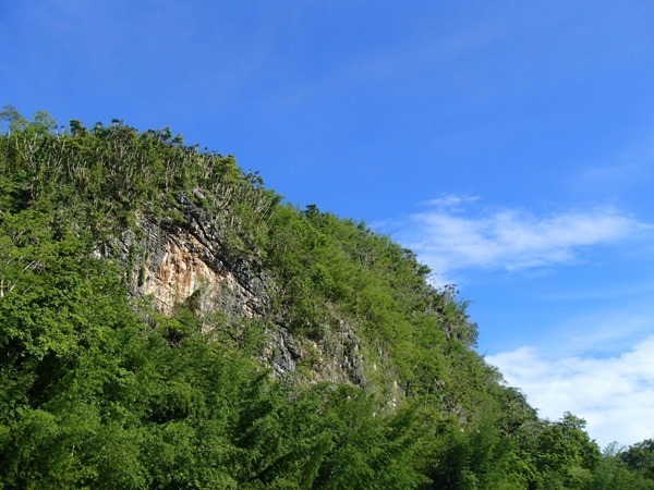 P6051053